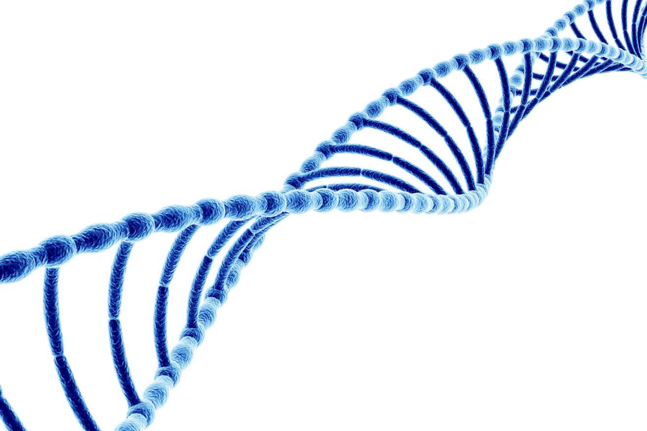 DNA double helix illustration representing mitochondrial-encoded peptides